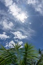 Sunburst through clouds in blue sky above green palm fronds for nature background Royalty Free Stock Photo