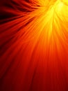 Sunburst in fire red Royalty Free Stock Photo