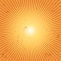 sunburst grunge background. Vector illustration decorative design Royalty Free Stock Photo