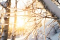 sunburst through icicles of a forest cascade