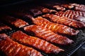 Suncoast BBQ Bash - Event Food BBQ Slabs of Ribs Royalty Free Stock Photo