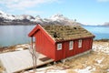 Sund's lodge with grass on the roof