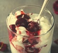 Sundae Ice cream with cherry in chocolate topping, and dried rose flowers on dark background. Love, Valentine`s day