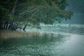 Sundarban landscape, West Bengal, India