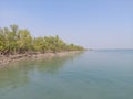 Sundarban  mangrove  jungle  a habitants  of royal bengal tiger and matla river famous  for crocodile Royalty Free Stock Photo