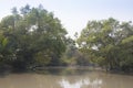 Sundarbans national park in Bangladesh Royalty Free Stock Photo