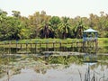 Sundarbans National Park, Bangladesh Royalty Free Stock Photo