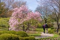 Sunday afternoon at Montreal Botanical Garden Royalty Free Stock Photo