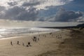 Sunday Afternoon on Muriwai Beach in New Zealand