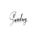 Sunday. Day of a week. Handdrawn modern brush lettering. Vector inscriprion. Calligraphy illustration.