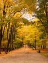 Sunday morning in the city park in autumn. Royalty Free Stock Photo