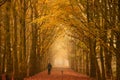 Sunday morning walk in autumn Royalty Free Stock Photo