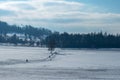 Sunday promenade on a flat, snow covered plain near Zurich, Switzerland