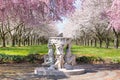 Sundial and Beautiful Pink Cherry Blossoms with Trees in Full Bloom and No People in Fairmount Park, Philadelphia, Pennsylvania