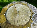 Sundial covered with lichen in graveyard Royalty Free Stock Photo