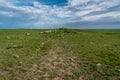 Sundial Hill Medicine Wheel, Southern Alberta Royalty Free Stock Photo