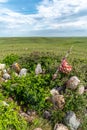 Sundial Hill Medicine Wheel, Southern Alberta Royalty Free Stock Photo