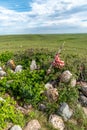 Sundial Hill Medicine Wheel, Southern Alberta Royalty Free Stock Photo