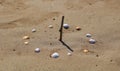 Sundial Made with Seashells on Beach, Close Up