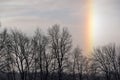Sundog and Bare Trees Royalty Free Stock Photo