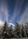 Sundog in nordic winter sky Royalty Free Stock Photo