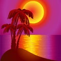 Sundown on background epidemic deathes and palms Royalty Free Stock Photo