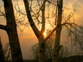 Sundown through bare tree twigs . Tranquil fall sunset landscape with nobody Royalty Free Stock Photo