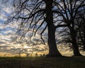 Sundown on a clearing in Germany Royalty Free Stock Photo