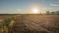 Sundown on harvested wheat fields Royalty Free Stock Photo