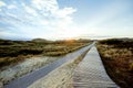 Sundown over dense green bush on coastal dunes with boardwalk Royalty Free Stock Photo