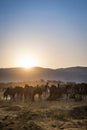 Sundown over Pushkar camel Fair in Rajasthan, India