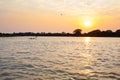 Sundown from Pantanal, Brazil