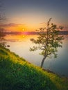 Sundown scene at the lake with a single tree on the hill. Vibrant sunset reflecting in the pond calm water Royalty Free Stock Photo
