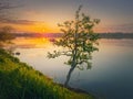 Sundown scene at the lake with a single tree on the shore. Vibrant sunset reflecting in the pond calm water. Idyllic spring