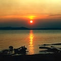 Sundown seascape with snags on coast foreground