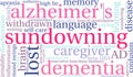 Sundowning Word Cloud Royalty Free Stock Photo