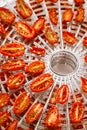 Sundried cherry tomatoes on food dehydrator Royalty Free Stock Photo