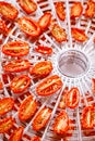 Sundried cherry tomatoes on food dehydrator tray