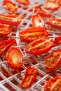 Sundried cherry tomatoes on food dehydrator tray