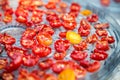 Sundried cherry tomatoes Royalty Free Stock Photo