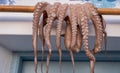 Sundried octopus preparation. Fresh caught mollusks on a wooden stick out of a fish tavern in Naousa, Paros island, Greece Royalty Free Stock Photo