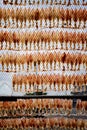 Sundry of squid hanging on fishery net in thailand