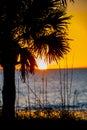 Sunest through palm tree Royalty Free Stock Photo