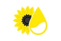Sunflover oil sign. Vegetable oil drop icon and sunflower, vector illustration Isolated on white background Royalty Free Stock Photo