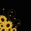 Sunflower abstract vector