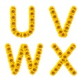 Sunflower alphabet