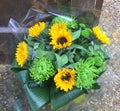 Sunflower Aquapack bouquet Royalty Free Stock Photo