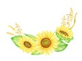 Sunflower arrangement with spikelets and leaves. Hand drawn watercolor floral illustration. Bunch of yellow autumn Royalty Free Stock Photo