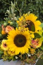 Sunflower bouquet in vivid yellow and orange colors Royalty Free Stock Photo