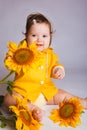 Sunflower baby Royalty Free Stock Photo